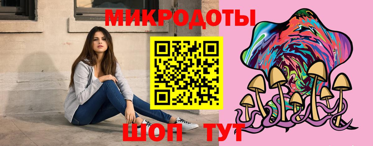 Галлюциногенные грибы Psilocybine cubensis Электрогорск